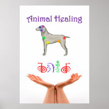 Cura do animal poster