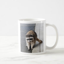 Cuteness do guaxinim caneca