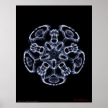 Cymatics: Nota C da música Impressão