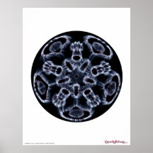 Cymatics: Nota C da música Pôsteres
