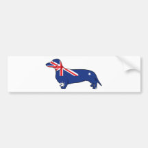 Dachshund australiano da bandeira adesivo