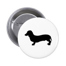 Dachshund do cão boton