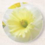 Daffodil adiantado do primavera porta copos para bebidas