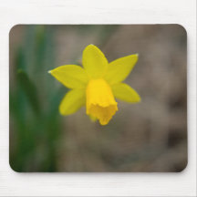 Daffodil amarelo Mousepad