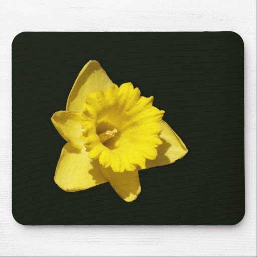Daffodil amarelo mousepad