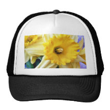 Daffodil Boné