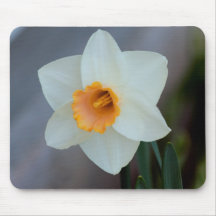Daffodil branco & amarelo mousepad