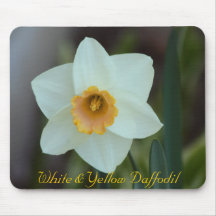 Daffodil branco & amarelo mousepads