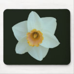 Daffodil branco & amarelo mousepads