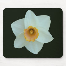 Daffodil branco & amarelo mousepads