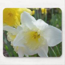 Daffodil branco com centro amarelo mouse pad