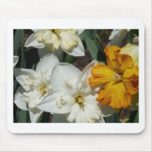 daffodil, branco e laranja mouse pads