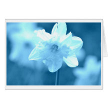 Daffodil branco floral cartão