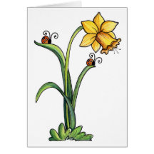 Daffodil - cartão