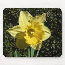 Daffodil da flor mouse pads