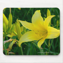 Daffodil de Kentucky Mousepad