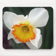 Daffodil Mouse Pad