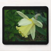 Daffodil Mousepad