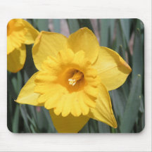 Daffodil Mousepad