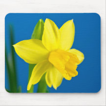 Daffodil Mousepad