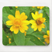Daffodil Mousepad