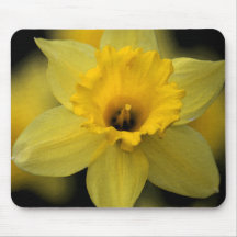 Daffodil Mousepad