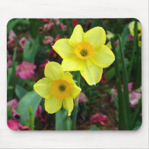 Daffodil Mousepads