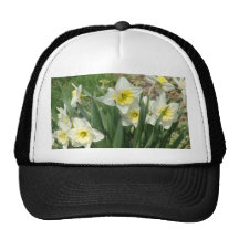 Daffodils brancos boné