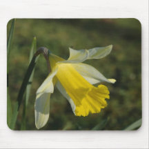 Daffoldil Dewy Mouse Pad