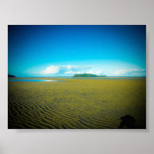 Daintree Pôsteres