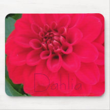 dália do coral do fogo b9 mouse pads