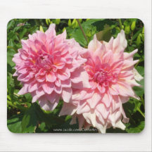 dálias b7 cor-de-rosa dobro mousepad