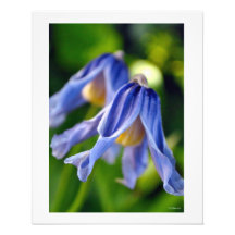 Decoração roxa da parede das flores de Bell Foto