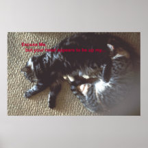 DESCULPE-ME POSTERS