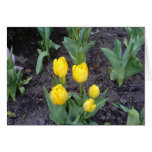 Desejos florais cartoes