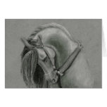 Desenho espanhol do cavalo por Lucinda Knowlton Cartões