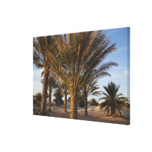 Deserto de Tunísia, Sahara, Douz, grande duna, pal Impressão Em Canvas