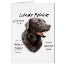 Design da história de labrador retriever (chocolat cartões