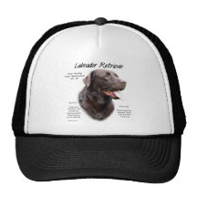 Design da história de labrador retriever (chocolat bones