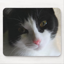 Design preto & branco Mousepad do gatinho