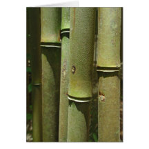 Detalhe do bambu da selva cartoes