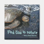 Deus do achado na tartaruga de mar da natureza ima de geladeira