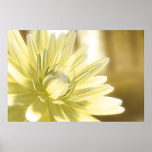 Dhalia Posters