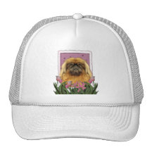 Dia das mães - Pekingese - seixos Bone