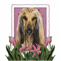 Dia das mães - tulipas cor-de-rosa - afegão fotoesculturas