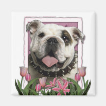 Dia das mães - tulipas cor-de-rosa - buldogue imã