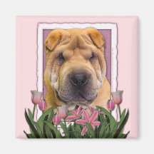 Dia das mães - tulipas cor-de-rosa - chinês Shar P Imas De Geladeira