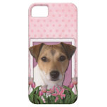 Dia das mães - tulipas cor-de-rosa - Jack Russell iPhone 5 Capa
