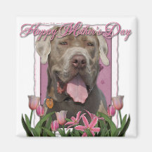Dia das mães - tulipas cor-de-rosa - Mastiff - esp Ima