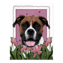 Dia das mães - tulipas cor-de-rosa - pugilista - V Cartões Postais